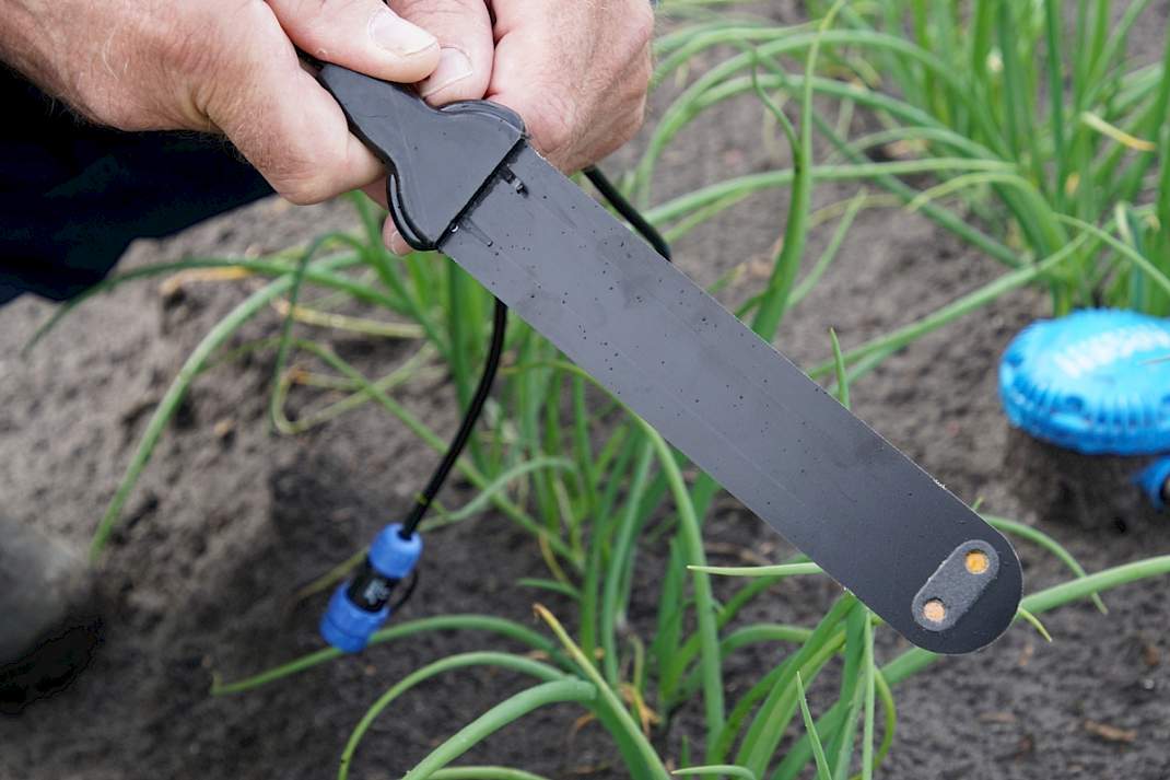 Nutrientensensor