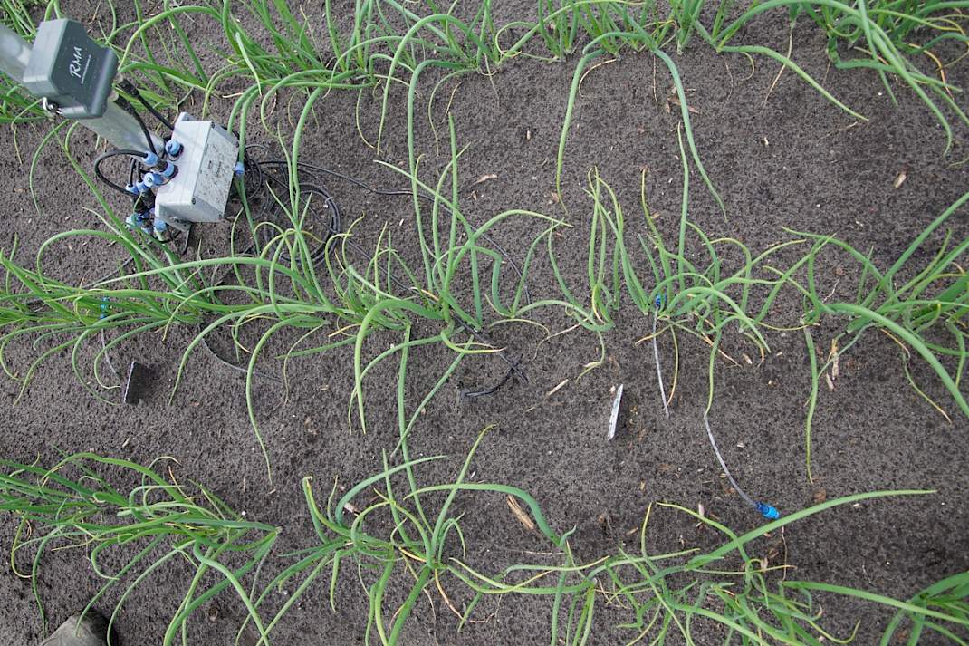 Nutrientenmeters en zender