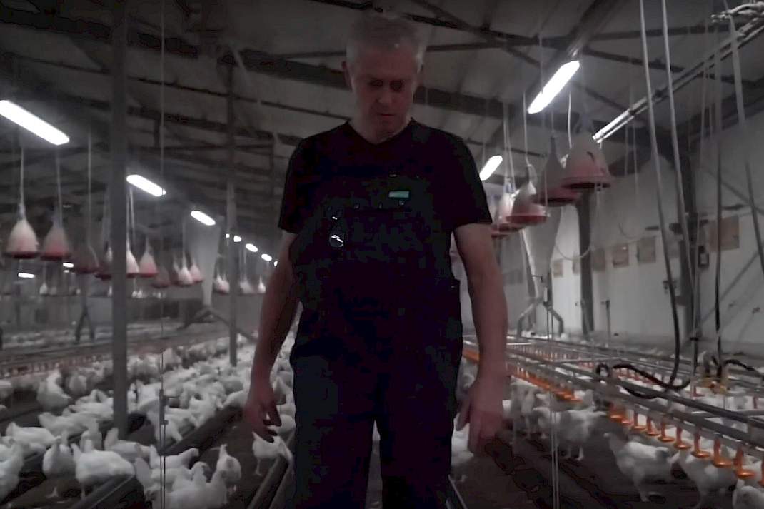 Video: Opfokbedrijf Ad en Hilde Beijer