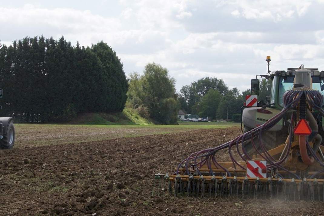 Smaragd en zaaimachine groenbemester