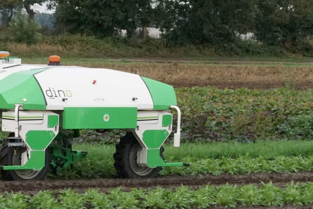 Dino robot van Na&iuml;o