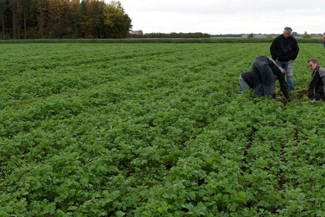 Het perceel met ploegen, woelen, zaaidichtheden, GLB-mengsels, braak en een mengsel met veel verschillende soorten