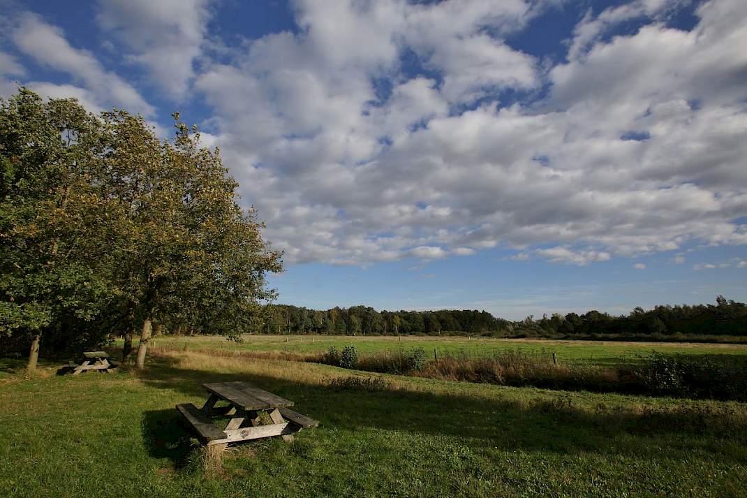 vragenderveen, korenburgerveen, natura 2000