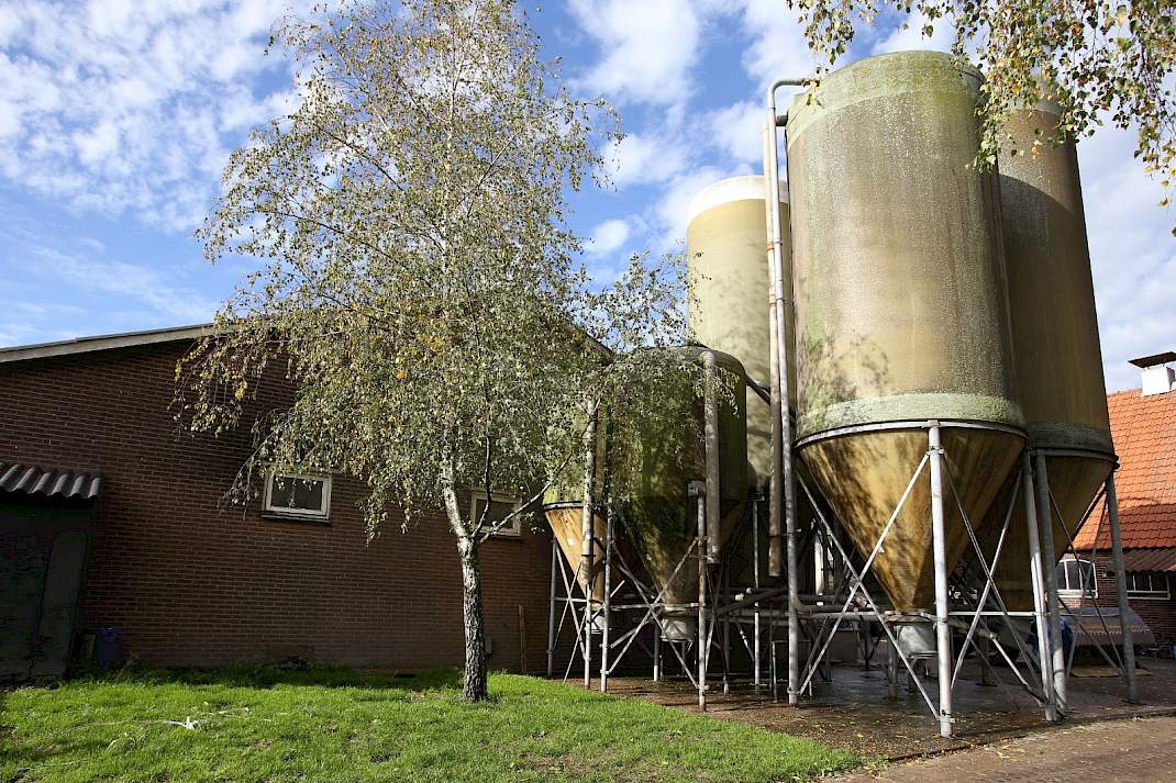 1 ster beter leven, daglicht, varkensstal, varkens, brijvoer,
