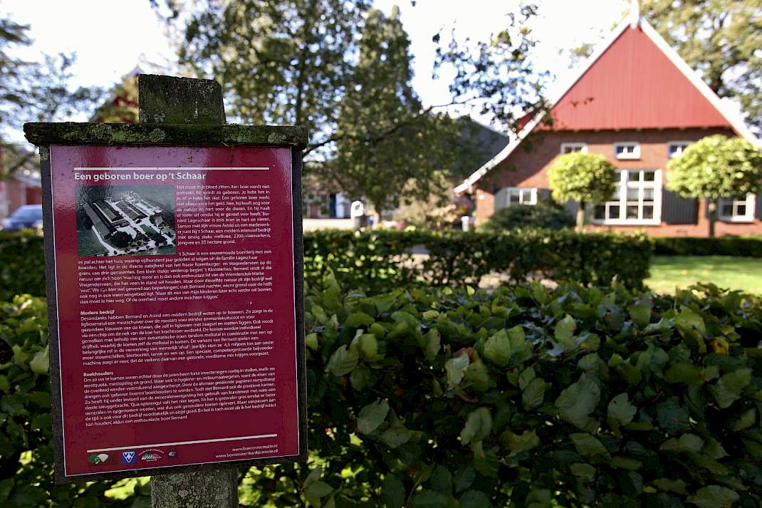 varkens, melkvee, gemengd bedrijf
