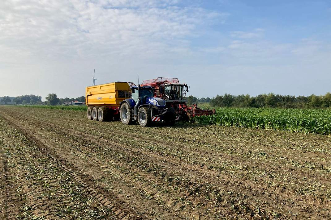 Rooien en overladen op de kipper
