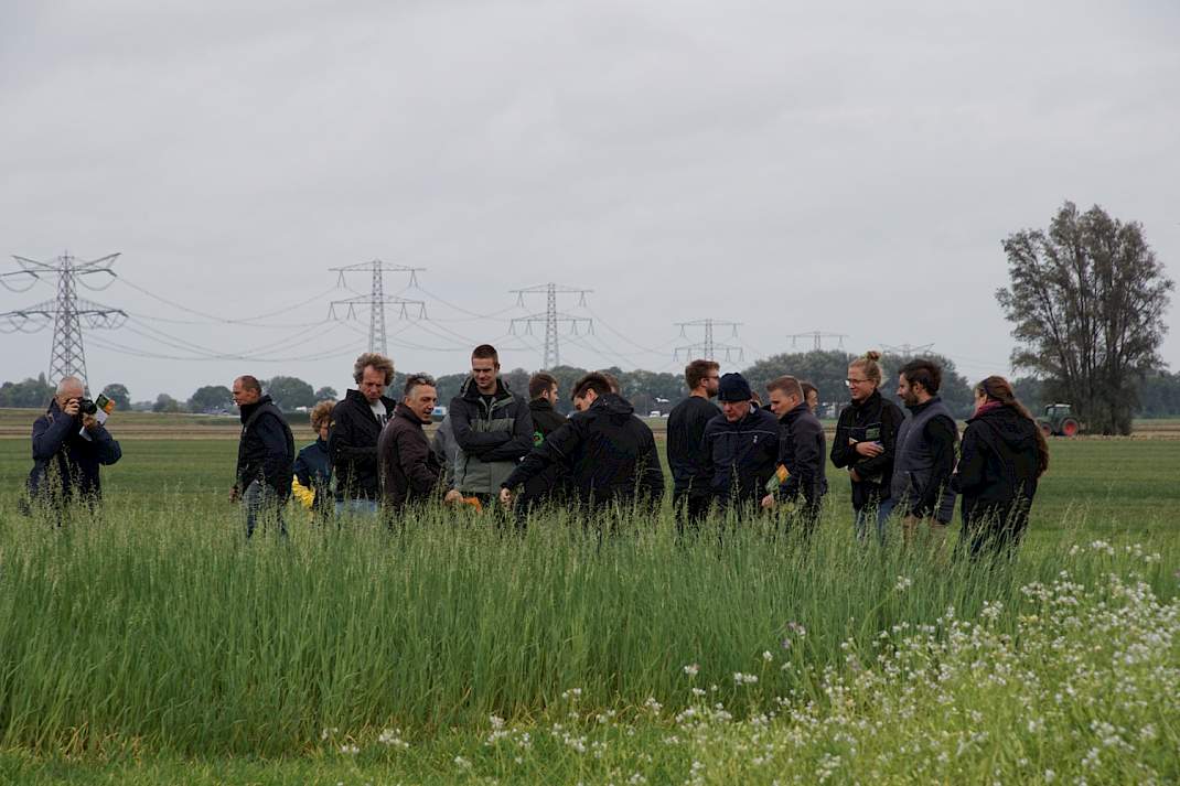 Groep rondleiding Groenbemestersdag Westmaas