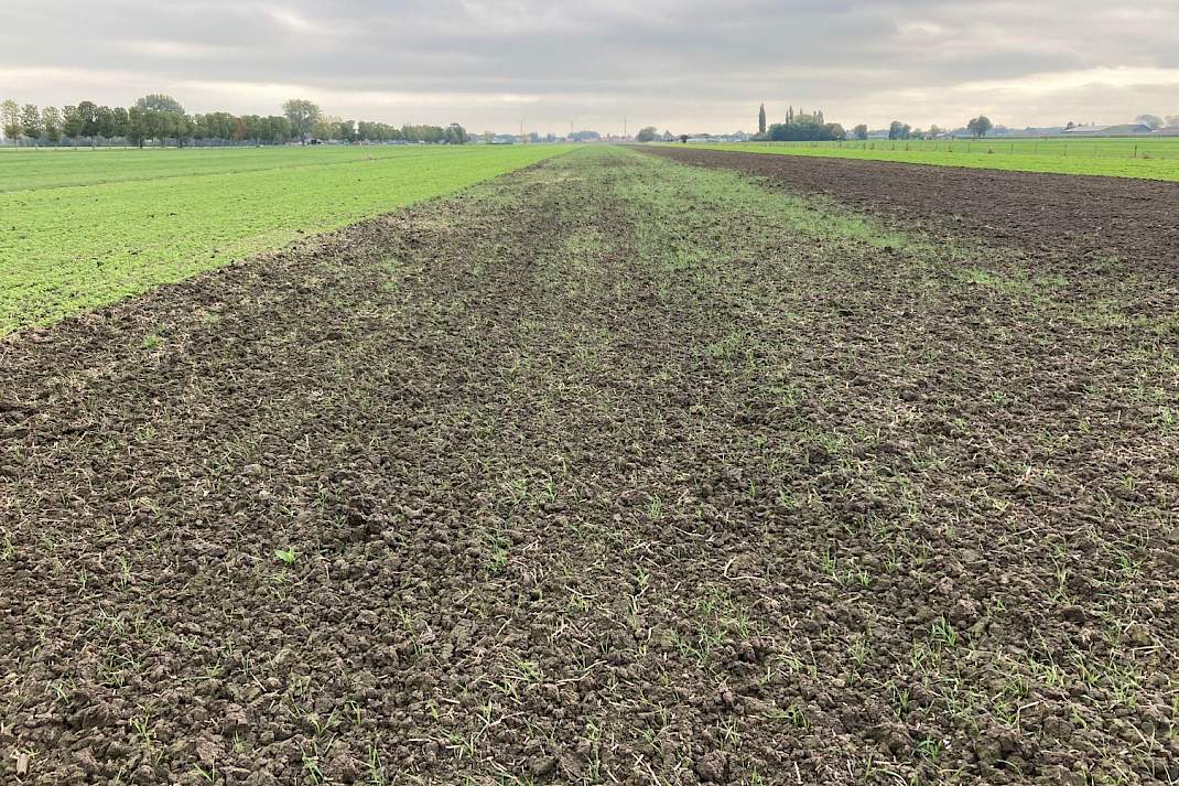 Woelen en rotorkopeg, geen gele mosterd