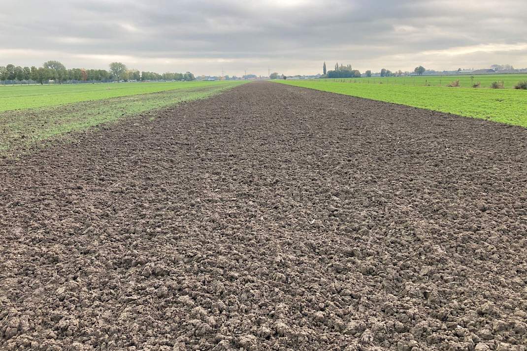 Ploegen en rotorkopeg, geen gele mosterd groenbemester
