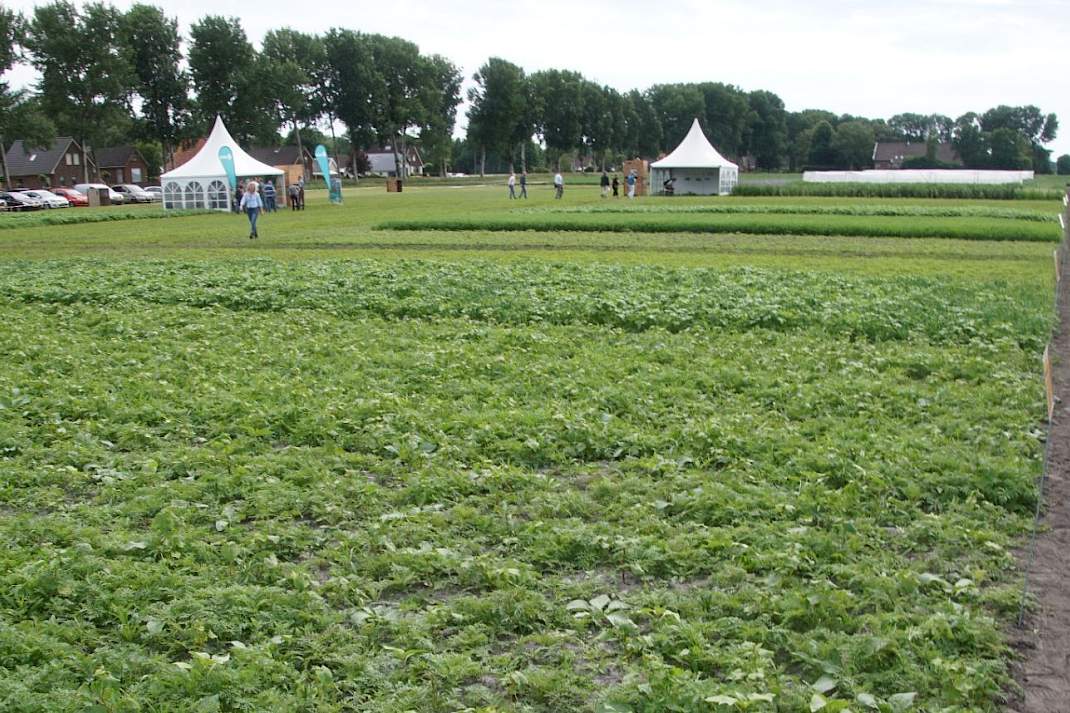 Agrifirm mengsels onderzoek