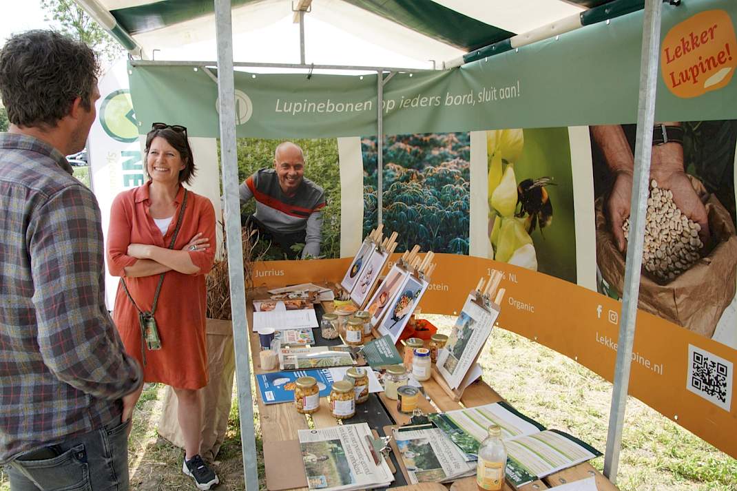 Lupineteelt