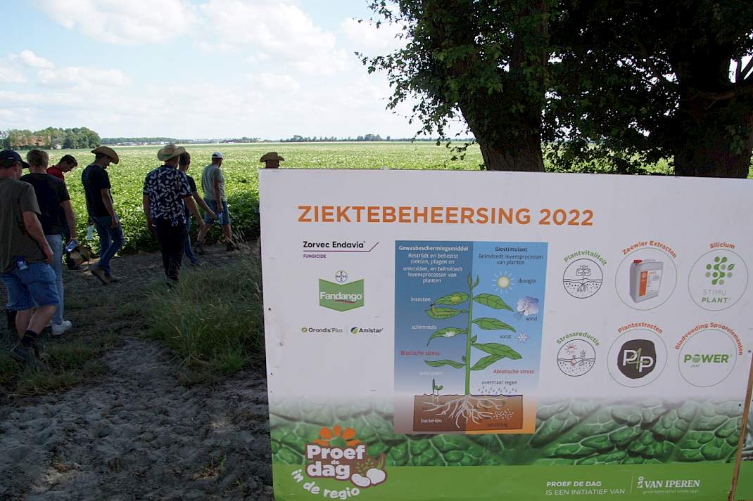 Ziektebeheersing in uien