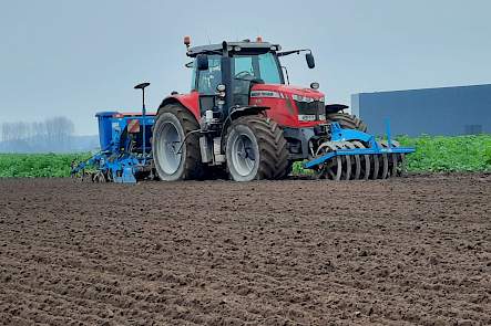 Inzaai DSV Champion 25 november 2021