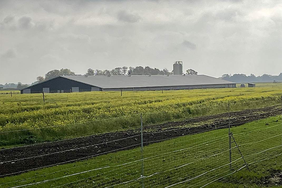 Een echte blikvanger: de nieuwe leghennenstal in Rødby