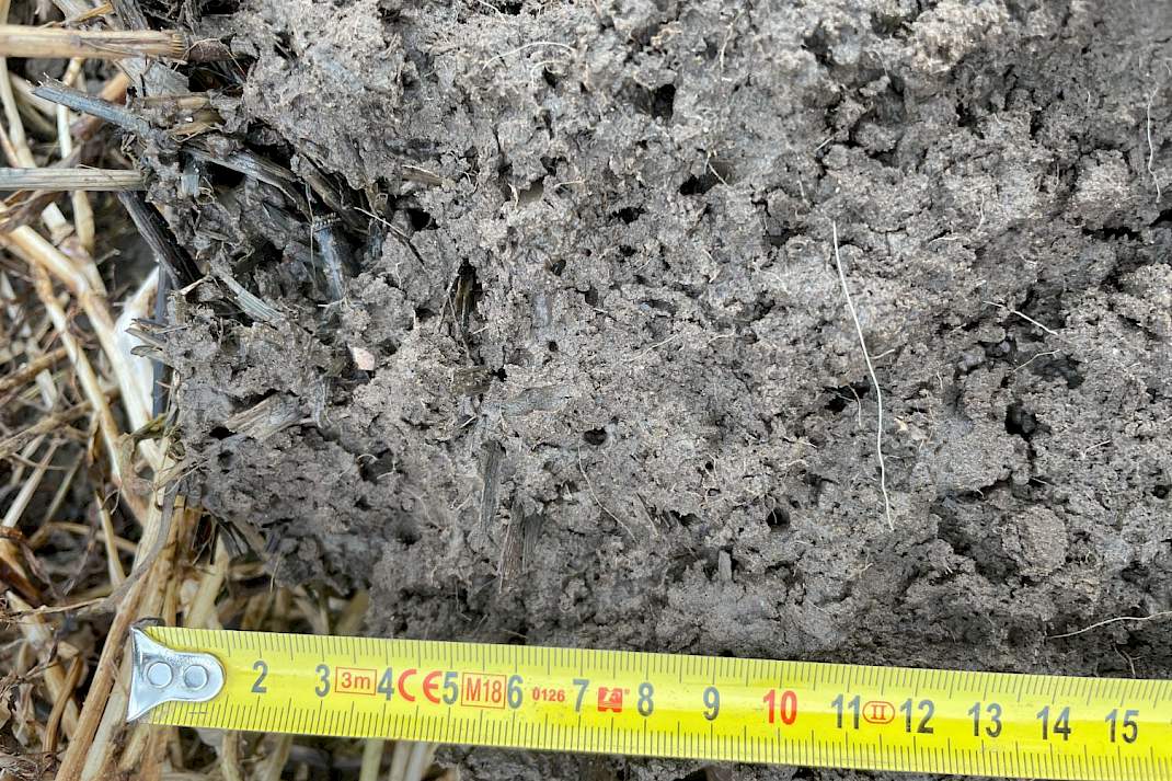 Poreuze grond na de winter