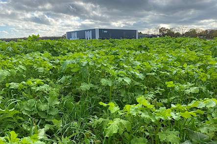 DSV TerraLife&reg; VitaMaxx op 16 november 2022