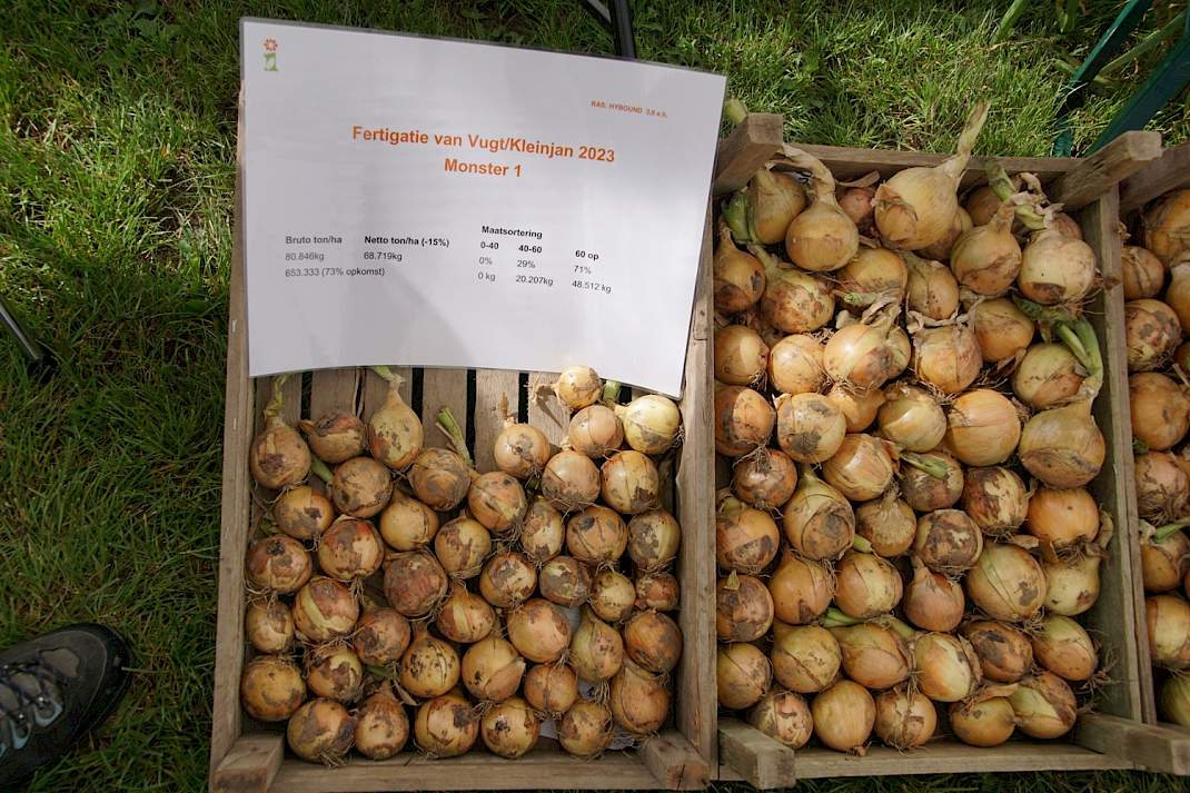 Sortering en opbrengst bij fertigatie