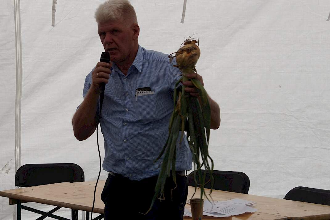 Grote uien