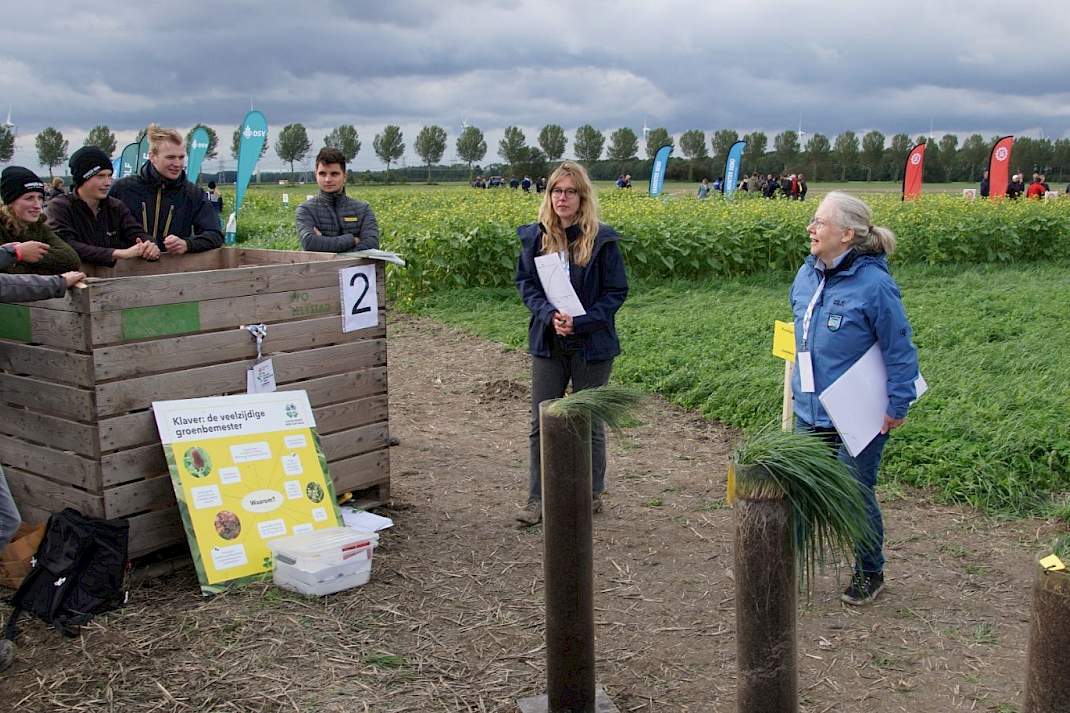 Koolstofvastleggen met verschillende typen zwenkgras.