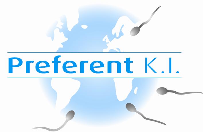 Logo Preferent KI
