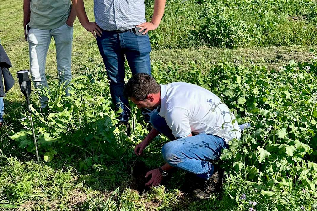 DSV-Expertdag Bodem kijkje in bodem