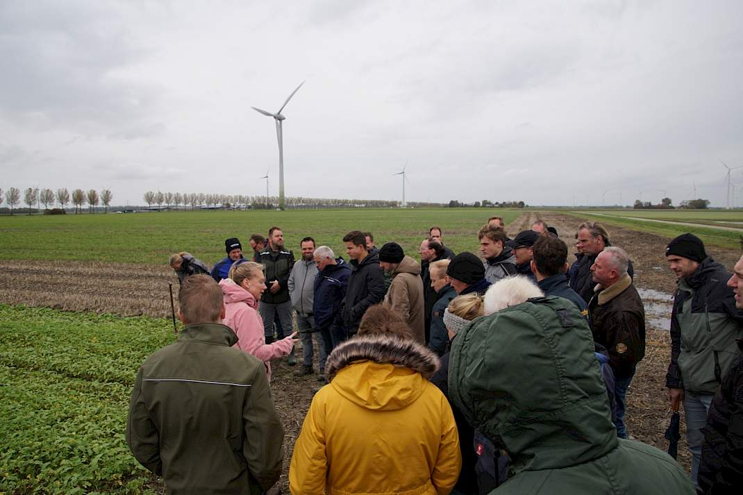 TopBodem Herfstexcursie bezoekt groenbemestersproef.