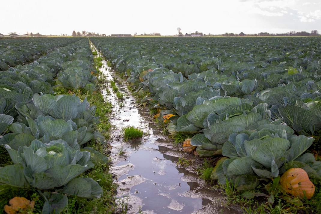 Nat land maar geringe schade.