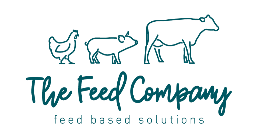 Logo Feed Company