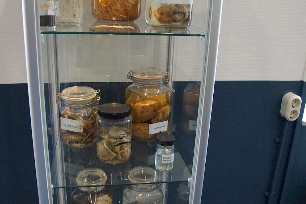 Ziekten en plagen op sterk water.