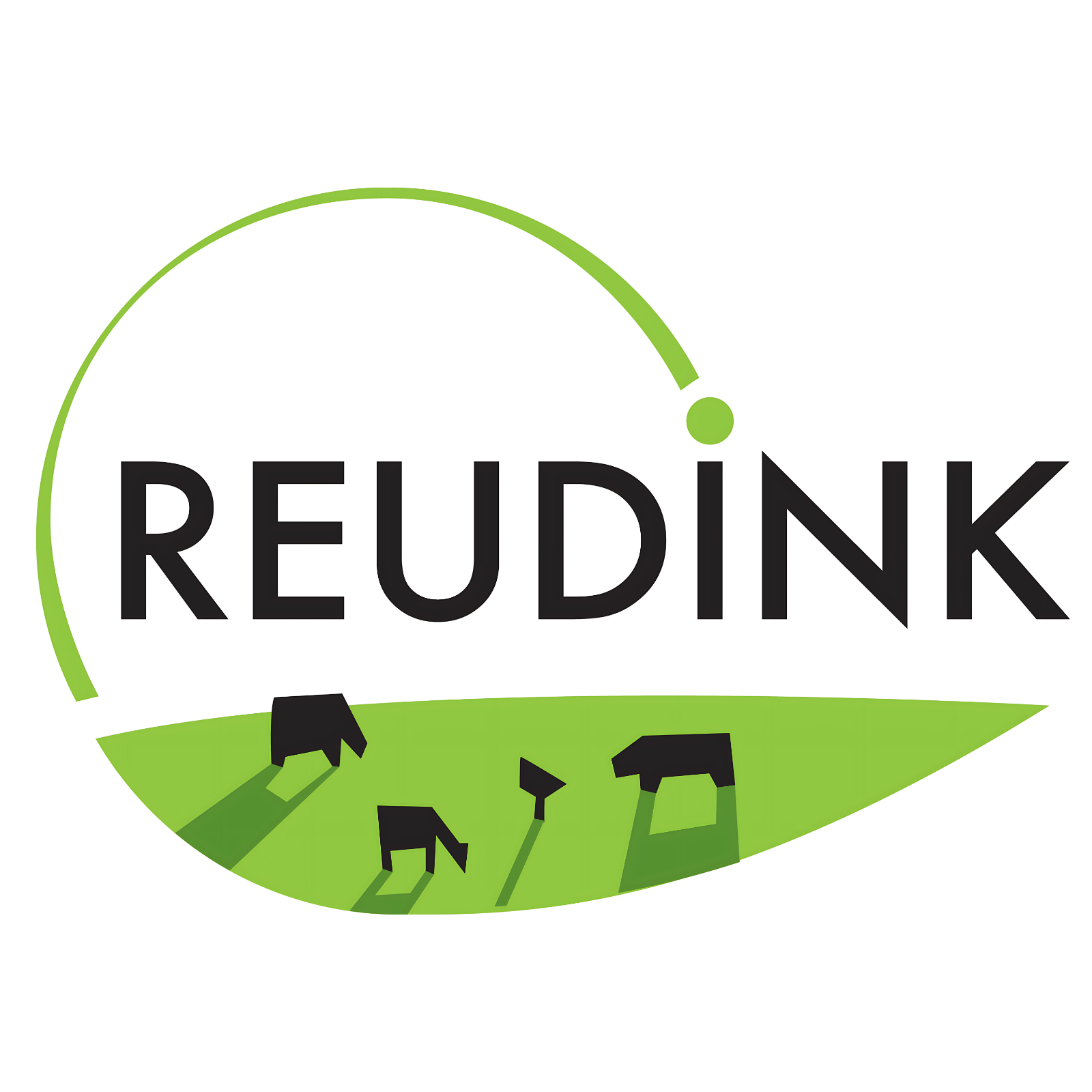 Logo Reudink