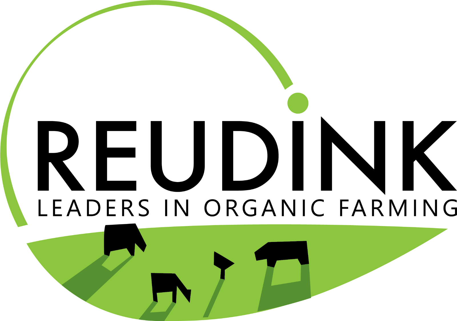 Logo Reudink