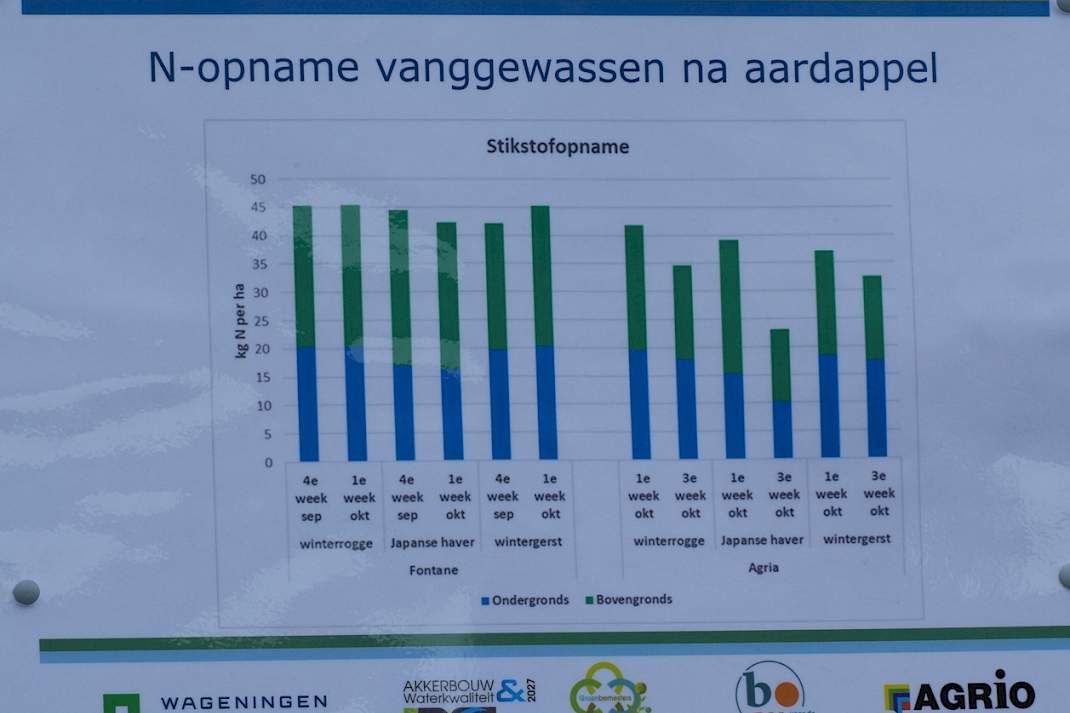 Vroege en late aardappelrassen