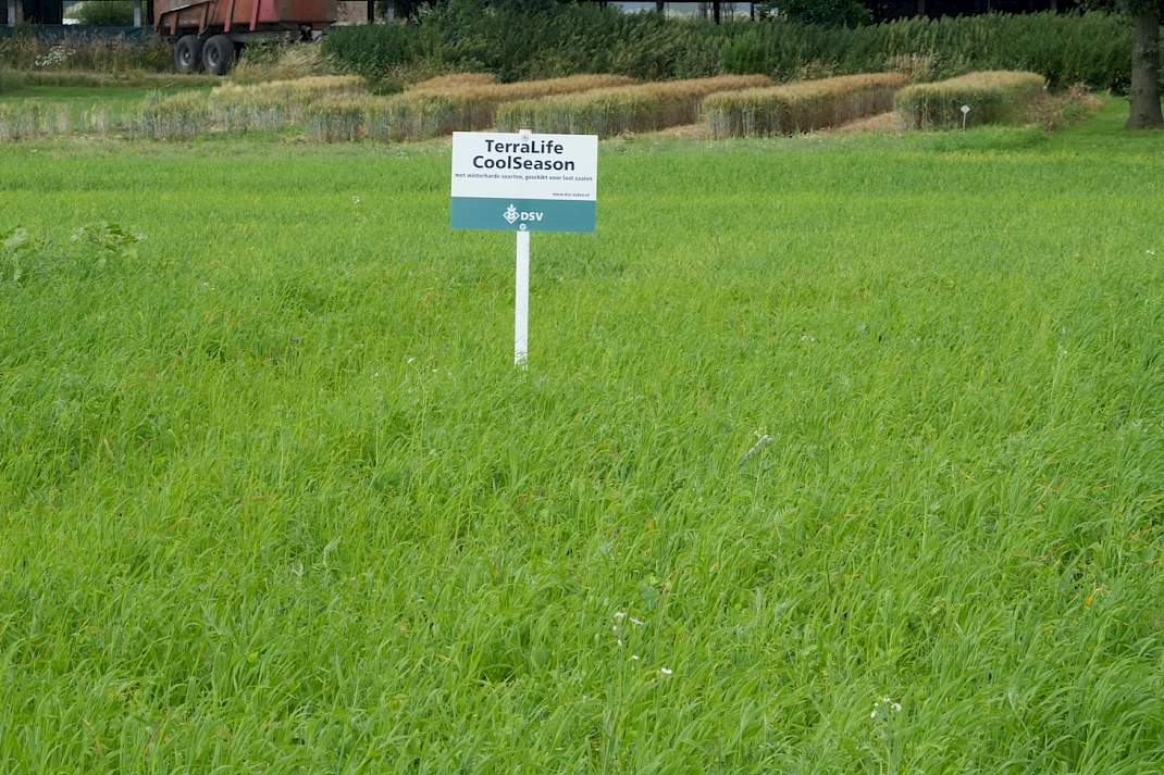 Winterharde groenbemesters