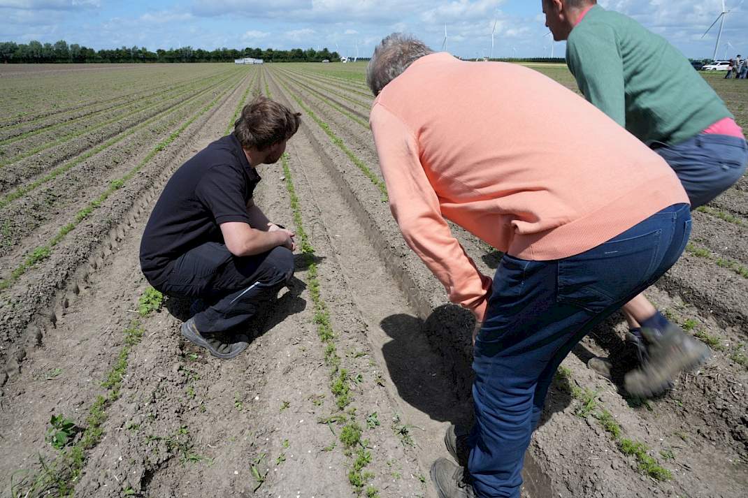 Resultaat bekijken van elektrisch schoffelen