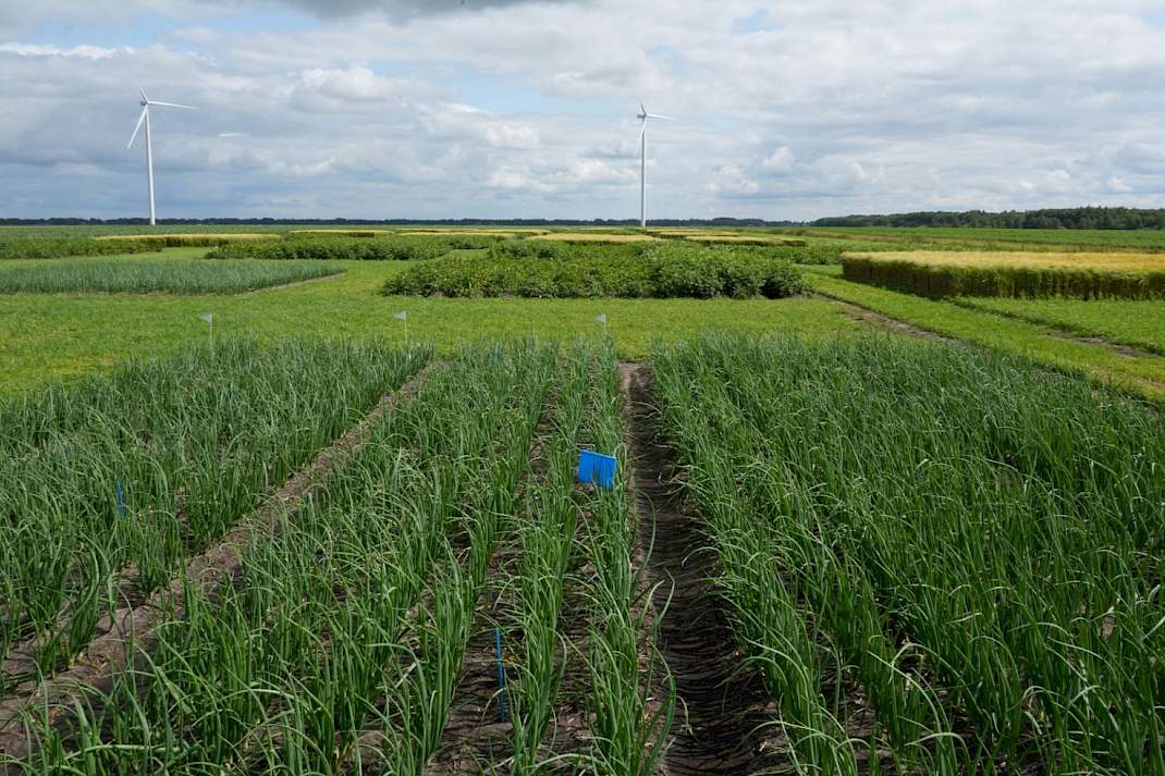 Bouwplanproef HLB 2e Exlo&euml;rmond
