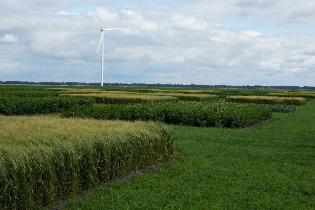 Proefveld bouwplanproef