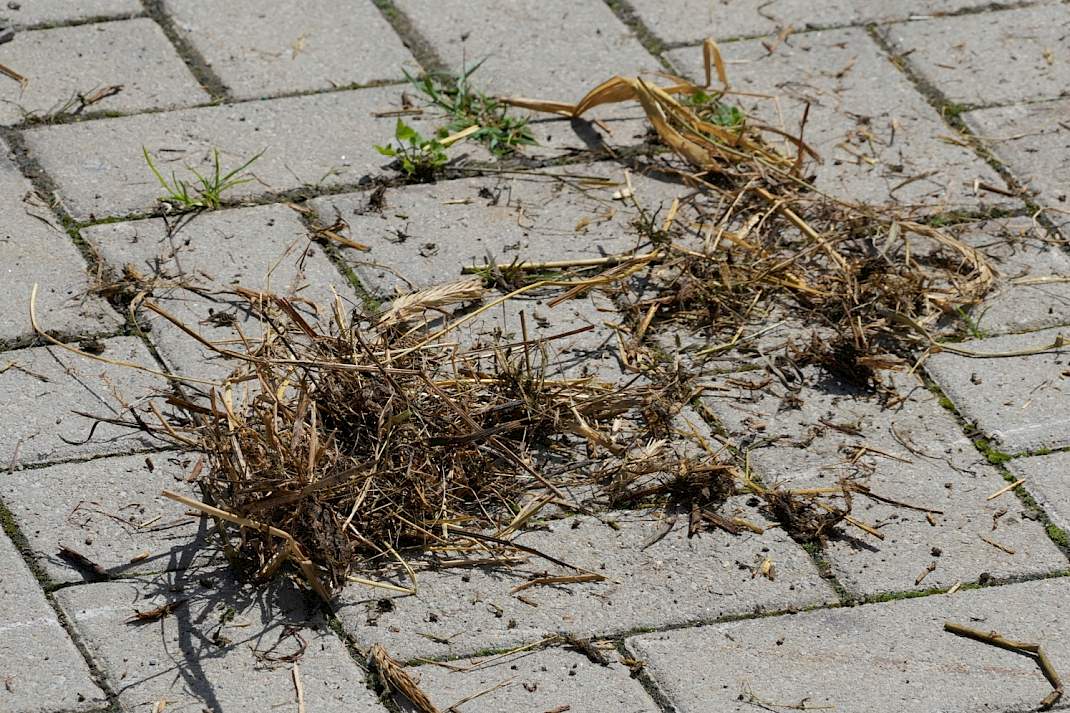 Gehakselde mulch