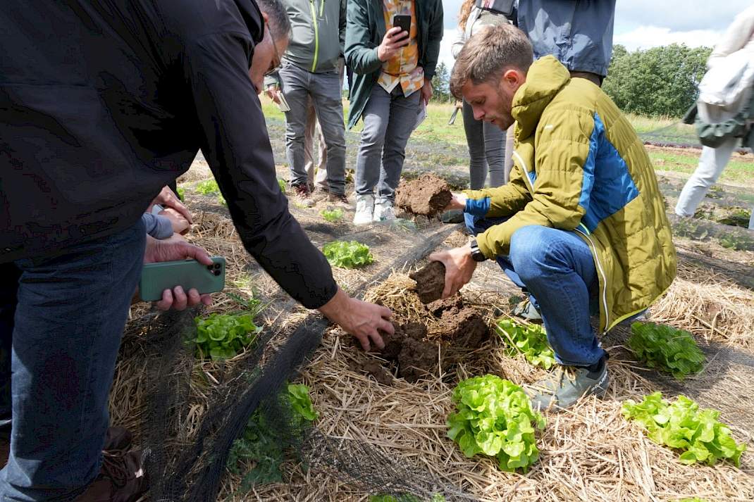 Bodem onder mulch