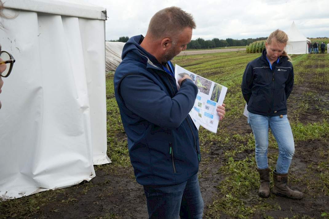 Bodeminsecten Klaas van Rozen