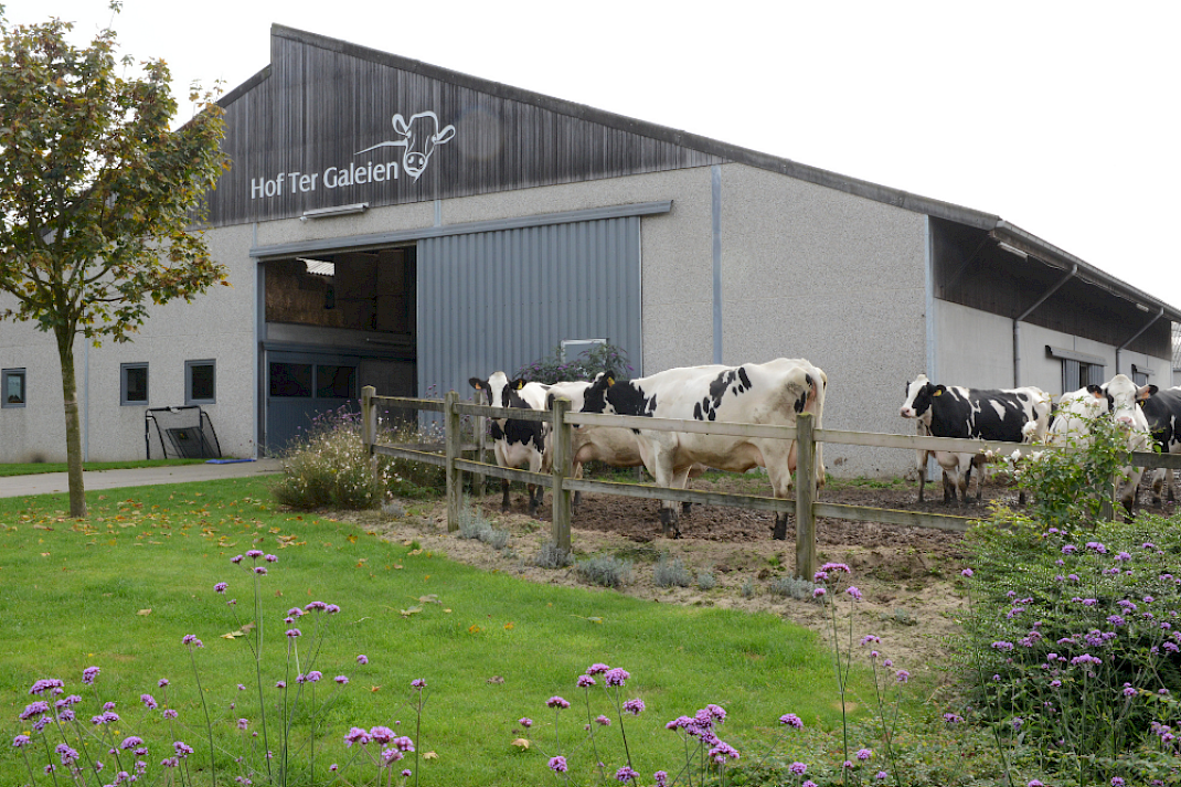 Uitloop close-up groep Hof ter Galeien