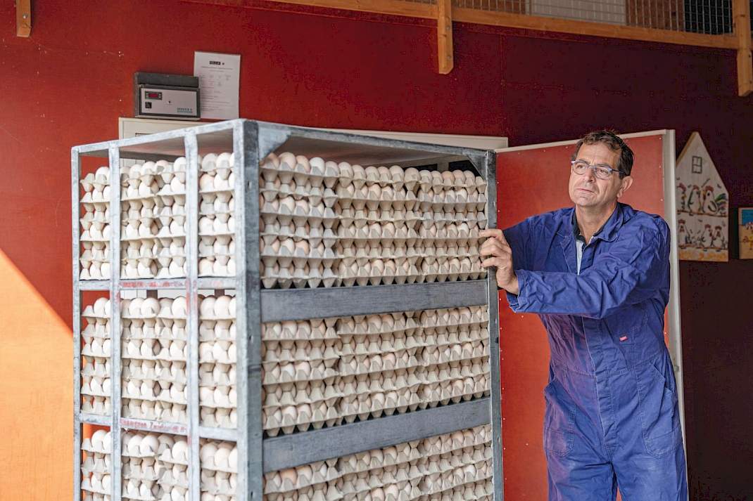Sinds 2019 is Eric van Drie bestuurslid van Novi-Pluim, met als belangrijk onderdeel haar duurzaamheidslabel NoviPlus om de uitgelegde moederdieren en hanen beter te verwaarden.