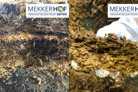 Links: Doorsnede potstal met onderlaag van speltdoppellets, rechts: onderlaag van speltdoppellets