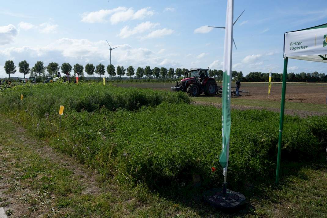 Agrifrim groenbemesters