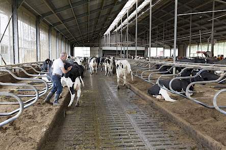 Netwerkdeelnemers Jack en Jean Nicolaes - NPB