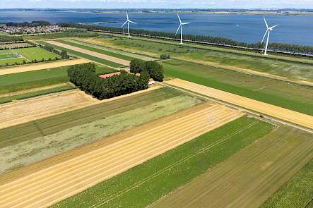 Proeftuin Van Pallandtpolder
