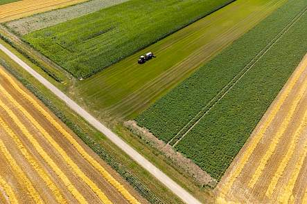Proeftuin Van Pallandtpolder