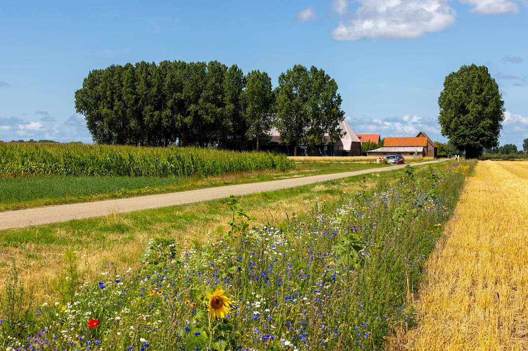 Proeftuin Van Pallandtpolder