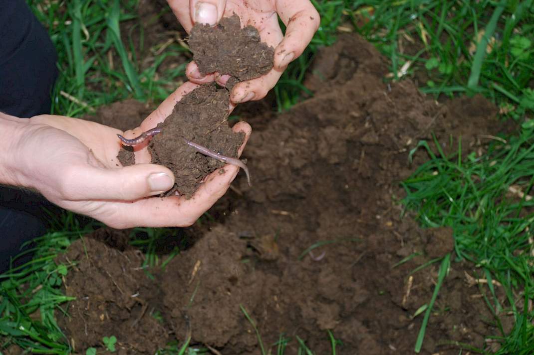 Mooie structuur met duidelijk veel pendelaars.