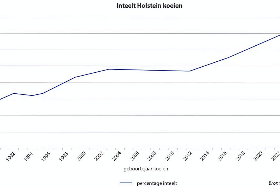 KI-organisaties fokken zuivere rassen.