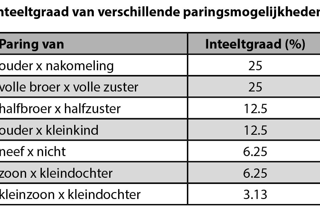 Inteeltgraad paringsmogelijkheden.